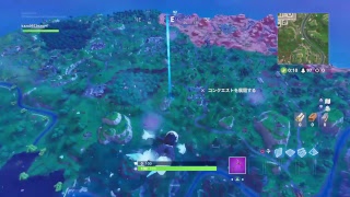 フォートナイト