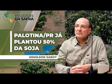 Palotina/PR já plantou metade da área de soja na safra 25/26