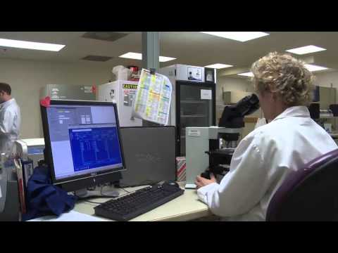 University of Iowa -- Department of Pathology