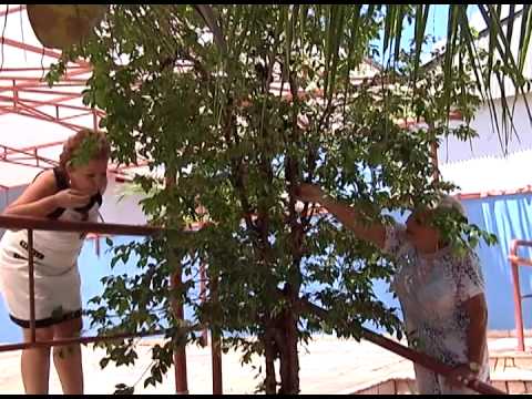 Programa Neusa Bighetti exibido no dia 01/03/2015 - Espaço Vila de Garden