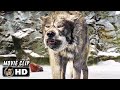 THE CHRONICLES OF NARNIA THE LION THE WITCH AND THE WARDROBE Clip Peter Vs The Wolves 2005