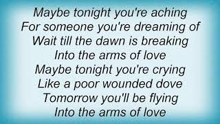 Robyn Hitchcock - Arms Of Love Lyrics