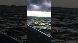 Download lagu Mata Dewa ~ Iwan Fals ft. Setiawan Jody #sunset #remix #evergreenlovesong mp3