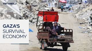 Video: Israel-Gaza War forces Palestinians into employment 'never dreamed of' | TRT World