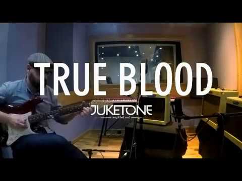 Juketone True Blood Valve Amplifier 5w 5F1 image 6