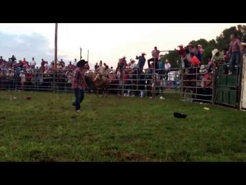 buen agarrón chicharra de guerrero y toro de rancho tres potrillos