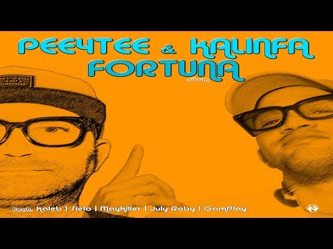 Pee4Tee & Kalinfa - Tiempo Perdido (Radio Edit - Teaser)