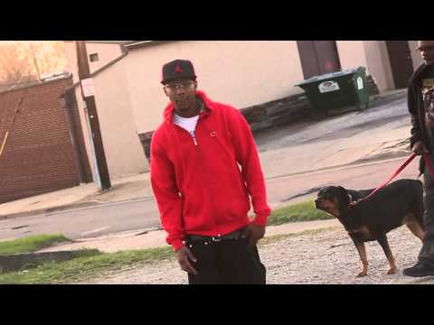 Db4Tv Presents DB CERTIFIED 100- Gassin'/ Novel(Snippet)