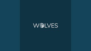 Wolves Music Video