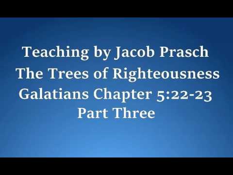 Jacob Prasch The Trees of Righteousness Part 3 May 1 2016 – Andrew R
