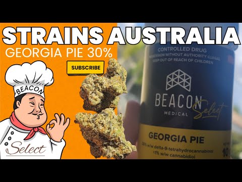 Georgia Pie Allbud