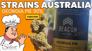 GEORGIA PIE Gold Select ,Beacon 30% Beacon#cannabiseducation#cannabis#medicinal#cannabisdispensary