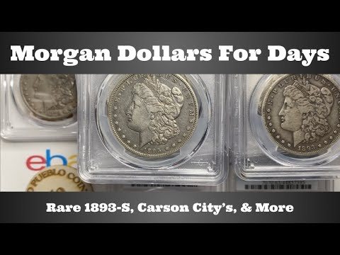 Morgan Dollars For Days - Rare 1893-S, Carson City's, & More - PCGS
