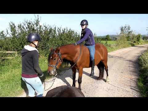 Courage is Found ~ AHI ~ Fire