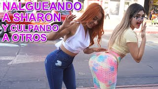 Video Porno De Sharon Winer mp3 Gratis - Music Video Tv Radio Zone