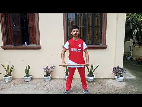 ( Alferez- A2/C1- Activity6 ) 12 Basic Arnis Strikes