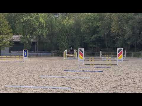 Malu (12) und Zappa in Höhr-Grenzhausen am 02.10.2021