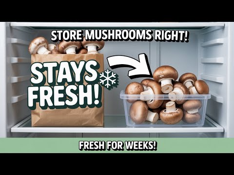 Mushroom Storage Tips You Need to Know!