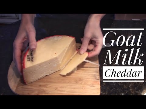 download lagu mp3 mp4 Goat Milk Cheddar, download lagu Goat Milk Cheddar gratis, unduh video klip Goat Milk Cheddar