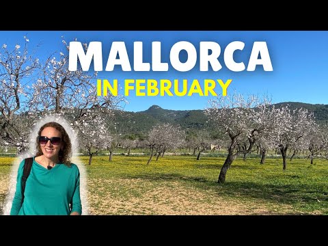 Should you visit Mallorca in February 2024?