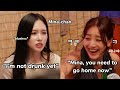 Mina Getting Tipsy And How The Members Reacts On It
