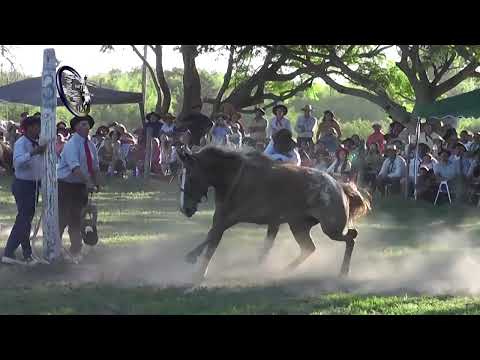 Cayastá, Final Categ. Clina 2025, Fiesta Prov. de la Doma, 23 de Noviembre del 2025
