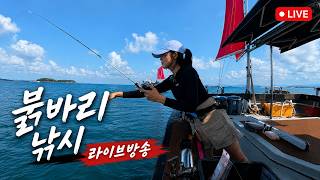 Download lagu 🔴 20만원짜리 붉바리 잡으러 왔습니다! mp3
