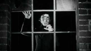 The Window Music Video