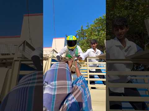 Kuttyttf | 😤 Rendey Per Ku Thaa Pottiyea | #ttf #kuttyttf #motovlog #superbike #pyrosgirl #trending