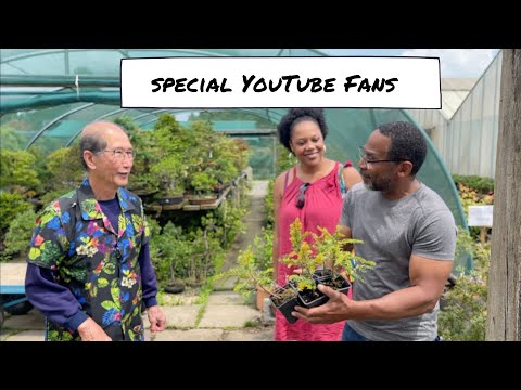 Special YouTube Fans