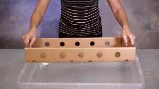 FluteSHIELD® from Cascades Sonoco