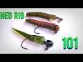 Ned Rig Fishing 101 How To Rig And Fish The Ned Rig
