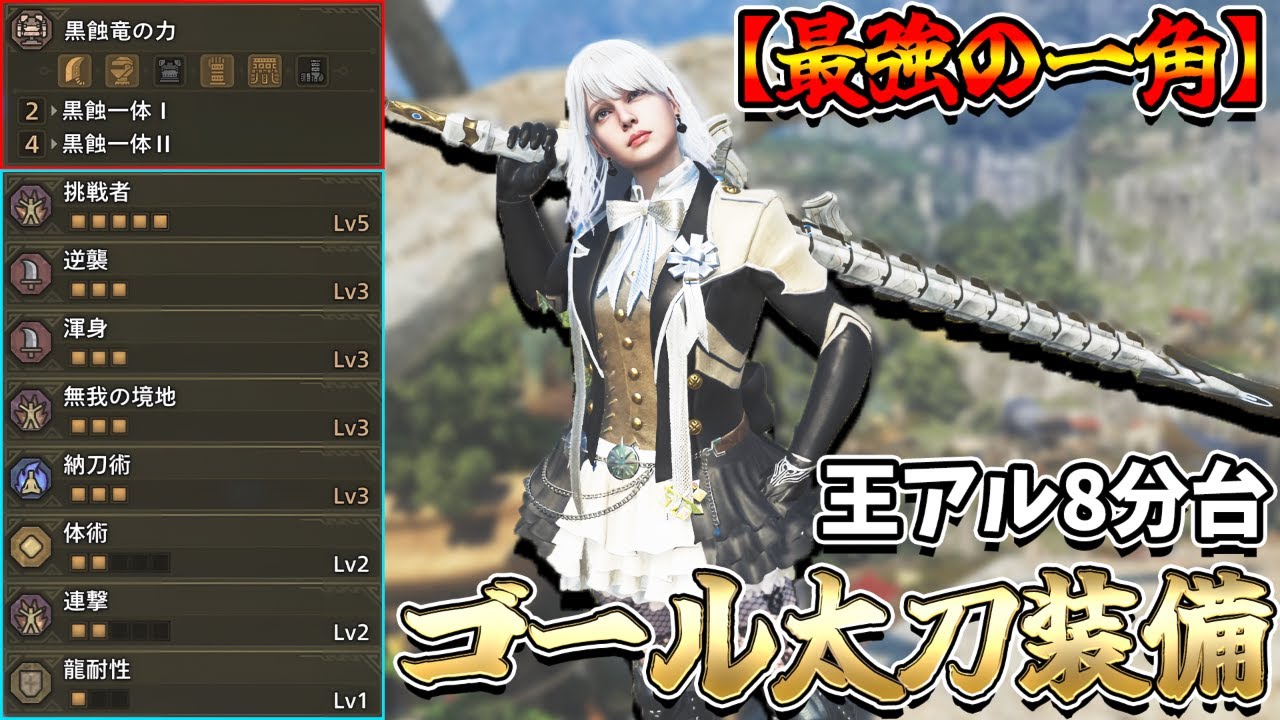 【新テンプレ】結論太刀は物理火力積むのが一番強い！「黒蝕Ⅱ×ヌシの魂」太刀装備【モンハンワイルズ/MHWilds】（最終アップデート/歴戦王アルシュベルド/太刀装備）