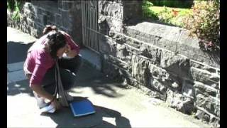 Life Through A Window