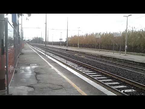 Locomotive Italiane :  Tartaruga FS E444 019 Trenitalia XMPR