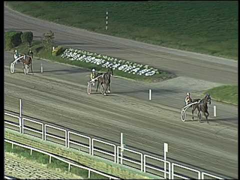 Trotto 14/10/2016 - prova di qualifica