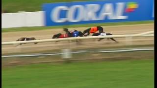 2017 CORAL SPRINT - T4 WILDFIRE BLOSSOM