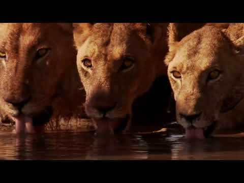 Kleine groepjes - Les 7a+b - groep 4 en 5 - Gods schepping