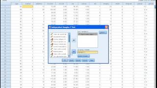 SPSS Tutorials: Parametric and non-parametric student t-test