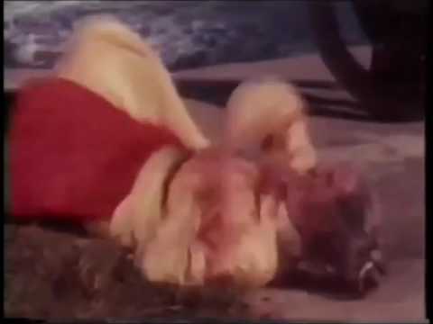 Boxers of Loyalty and Righteousness (1972) Part 6/6 - English Version