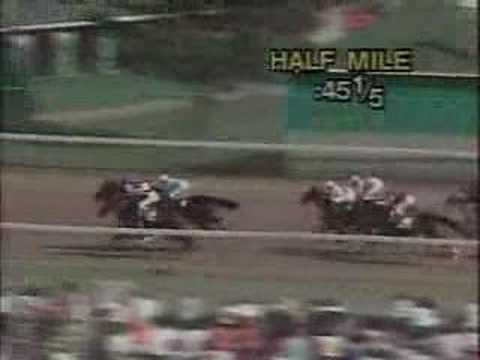 1981 Kentucky Derby