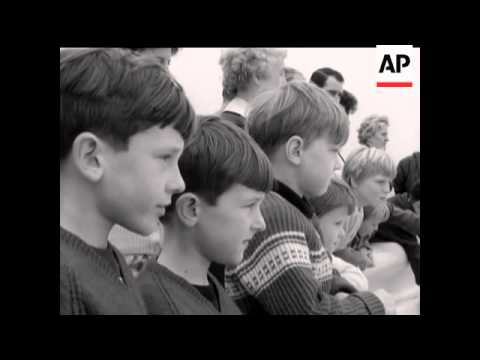 KEEPING COMPANY - WITH A WHALE!