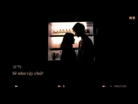 [Vietsub+Pinyin] Sẽ như vậy chứ? - Vương Tĩnh Văn không mập |