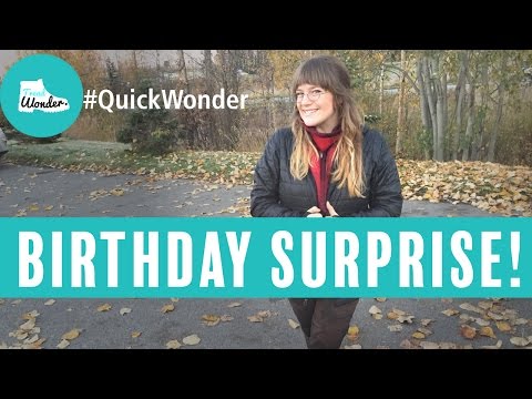 Moosejaw - Too good to be true - Image 4