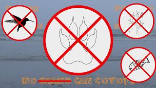 Choose - Fischer-Z [Music Video]