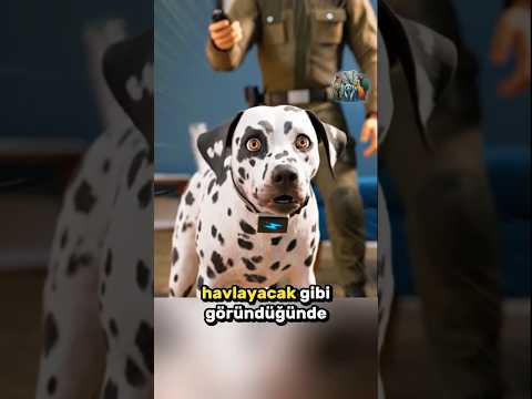 Yanlış Şartlandırmanın Bedeli: Bir Hayat 🐕🤐☠️