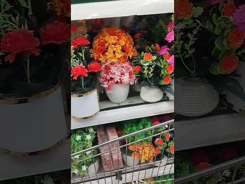 Beautiful Flowers 🌹❤😍