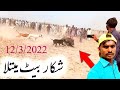 Soor Ka Shikar In Pakistan 2022 Boar Hunting Wirh Dog Beat Rakwan Hunting Soor With Dogs Lyamir