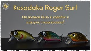 Kosadaka roger surf.