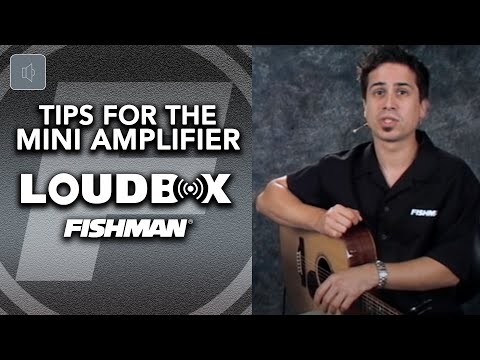 Player Tips for the Fishman Loudbox Mini Amplifier